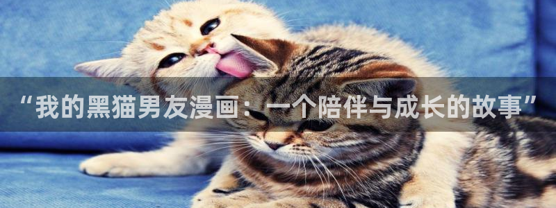 抱紧我的鬼夫君土豪漫画