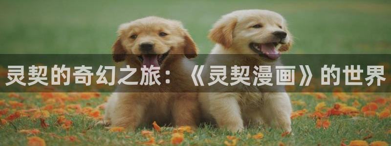 韩漫土豪漫画网